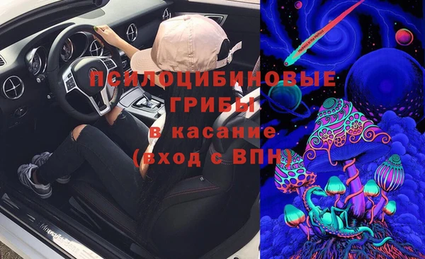 сатива Абаза