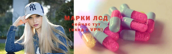 ГАЛЛЮЦИНОГЕННЫЕ ГРИБЫ Алексин