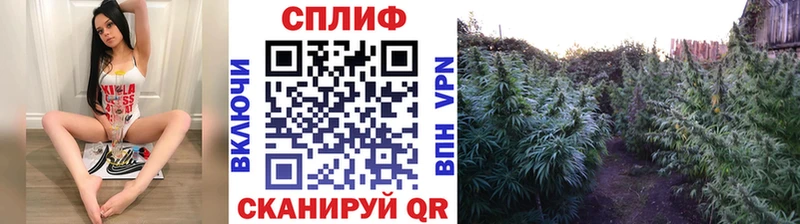 Марихуана конопля Ясный